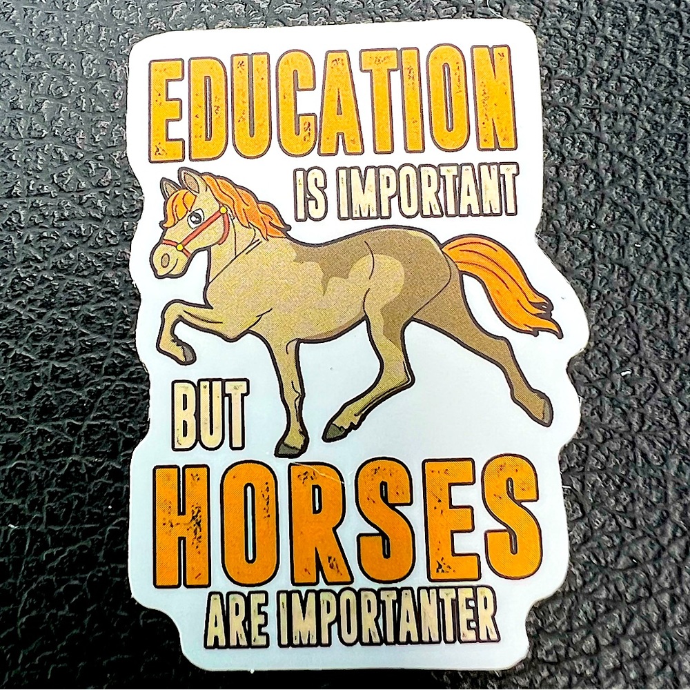 Stay In School Horse Humor Equestrian Pony Cowgirl Cowboy Western Ranch Rustic